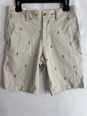 Old Navy Ultimate Slim Built-In Flex Pineapple Embroidered Chino Shorts Men’s 29